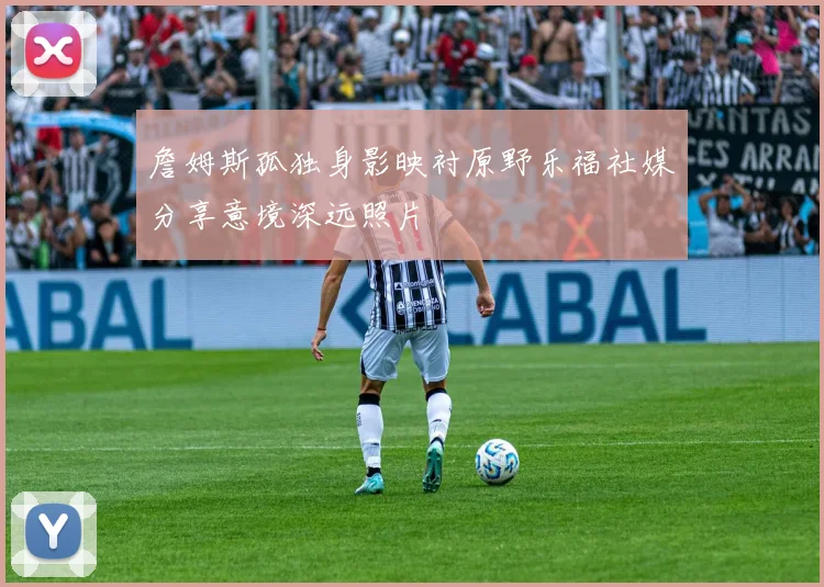 詹姆斯孤独身影映衬原野乐福社媒分享意境深远照片